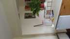 DSC 0045