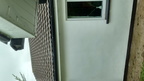 DSC 0046